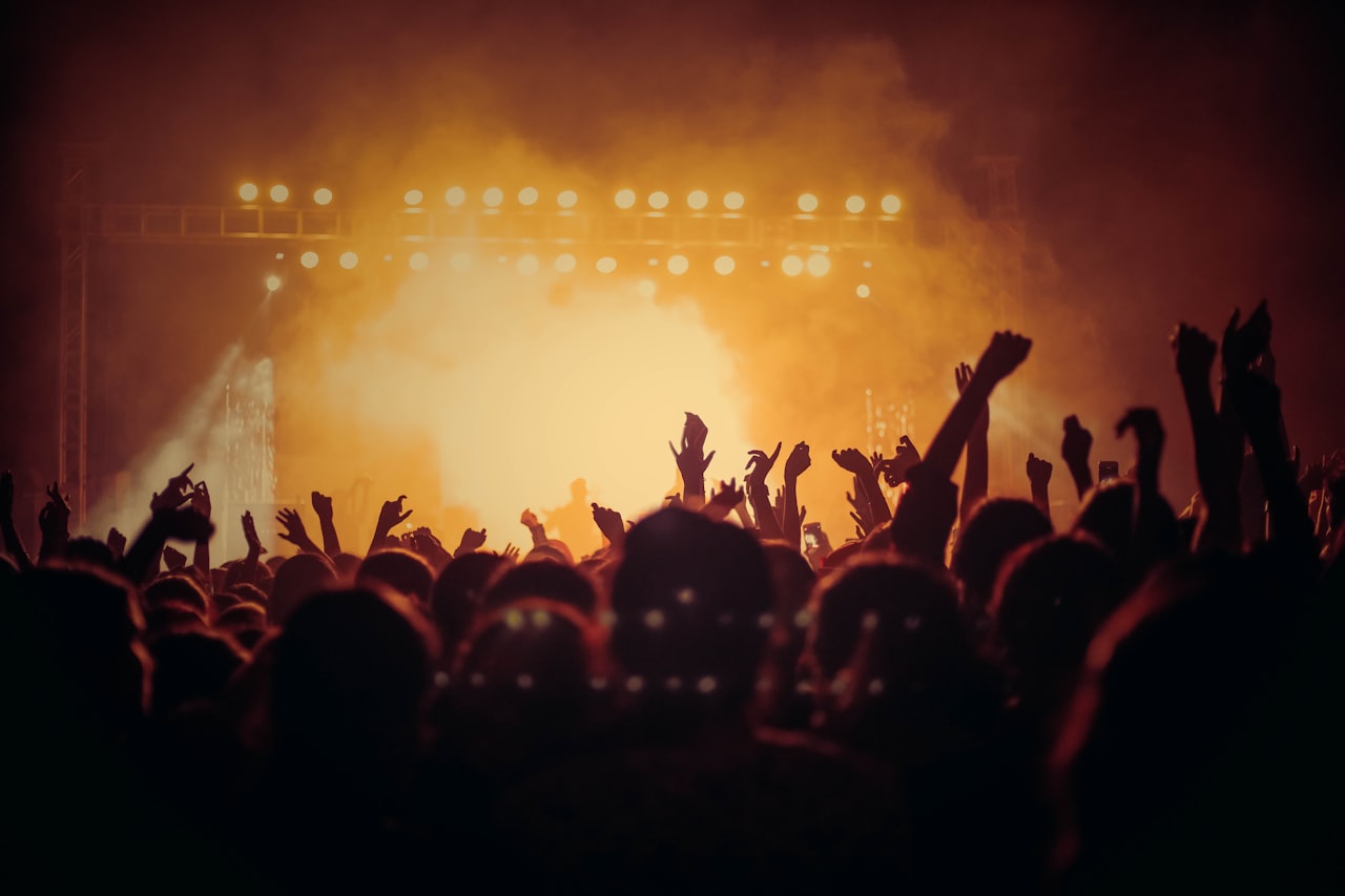 A crowd at a live sponsored event
